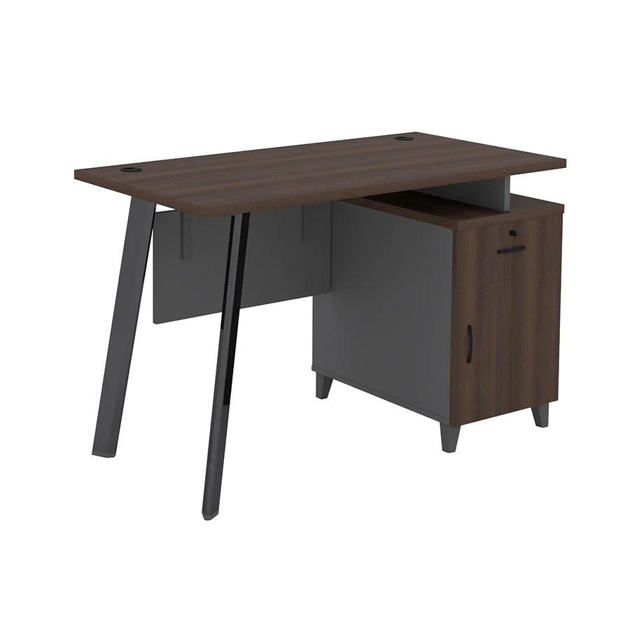 Alice Desk 120x60 cm with Storage - Image 8