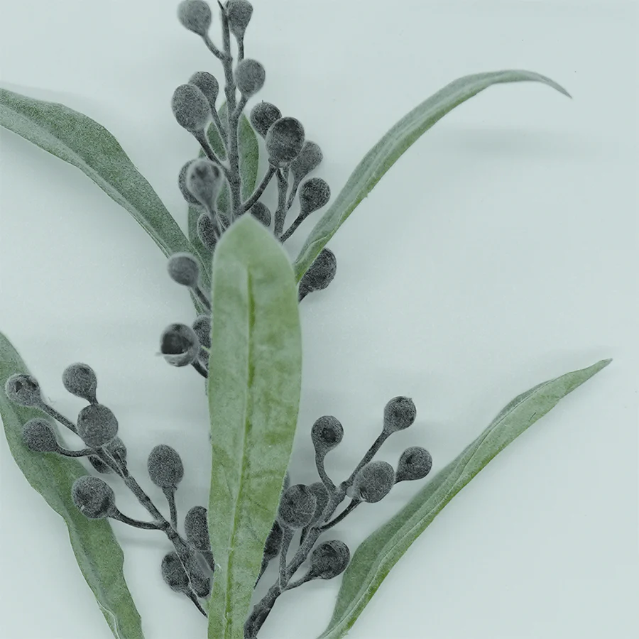 Coix Spray - Image 3