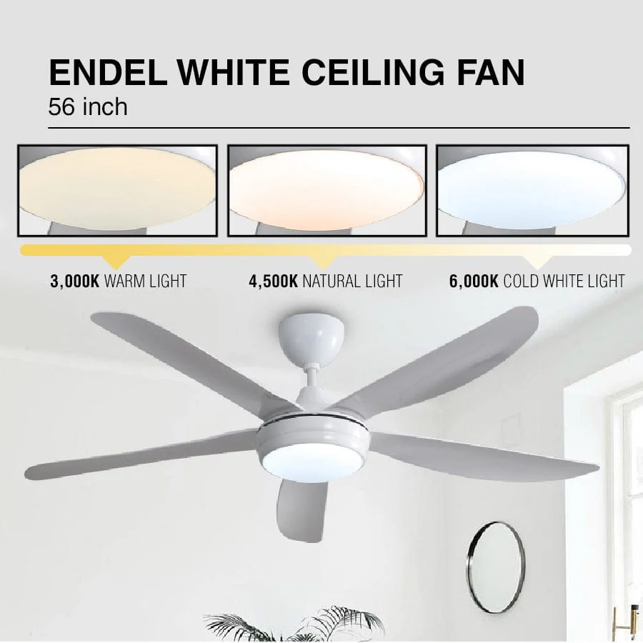 Endel Ceiling Fan - Image 5