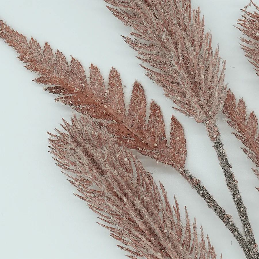 Foxtail Grass - Image 3
