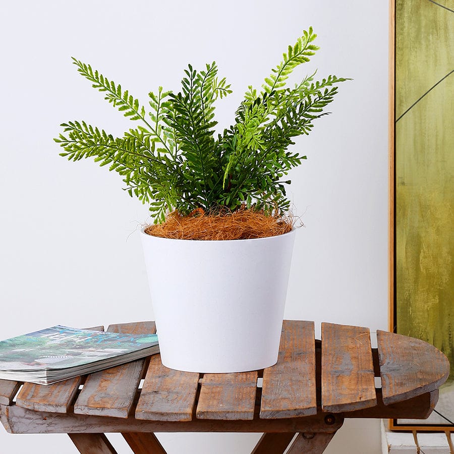 Fria Plastic White Pot - Image 12