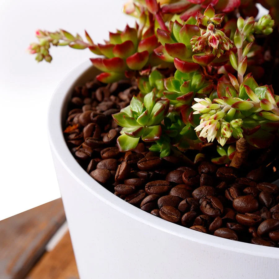 Fria Plastic White Pot - Image 3