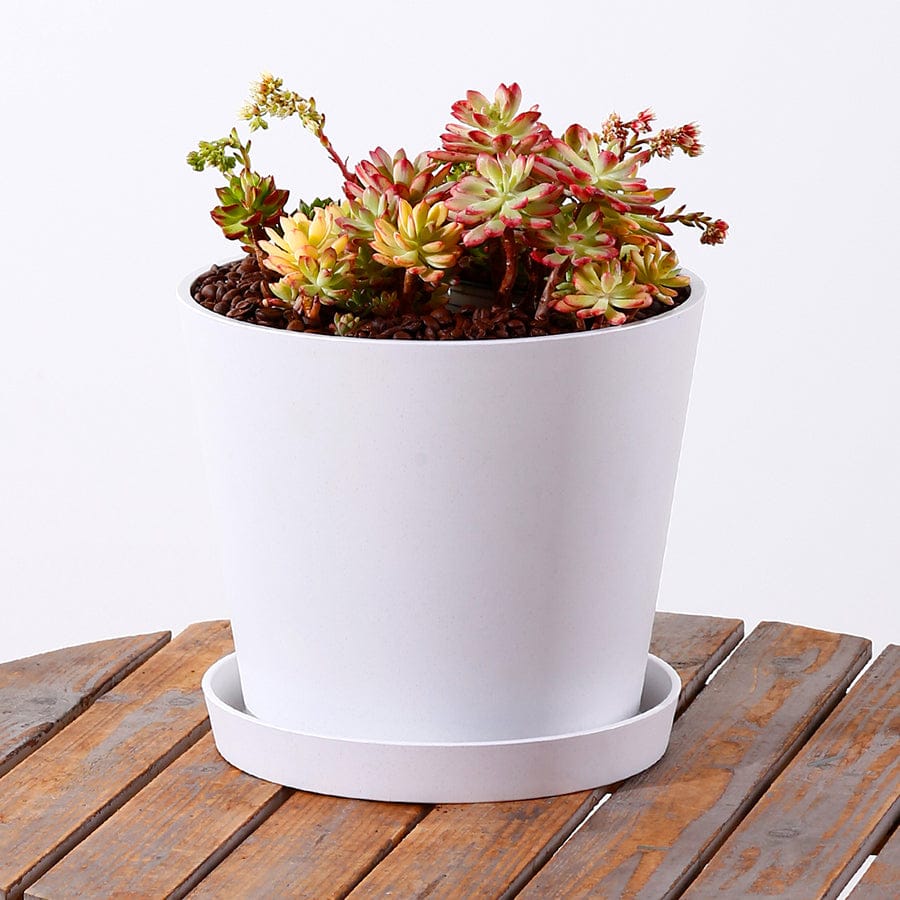 Fria Plastic White Pot - Image 4