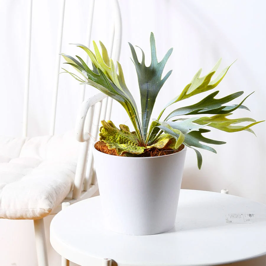 Fria Plastic White Pot - Image 7