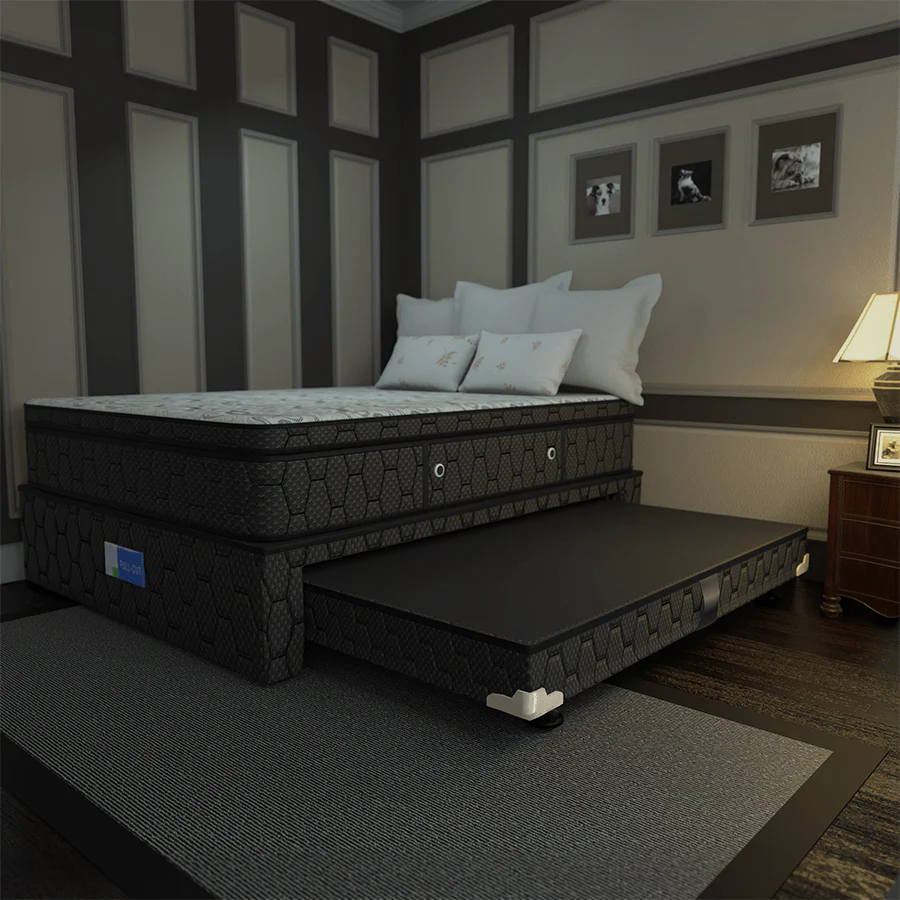 Gala Pull-Out Bed Box - Image 17