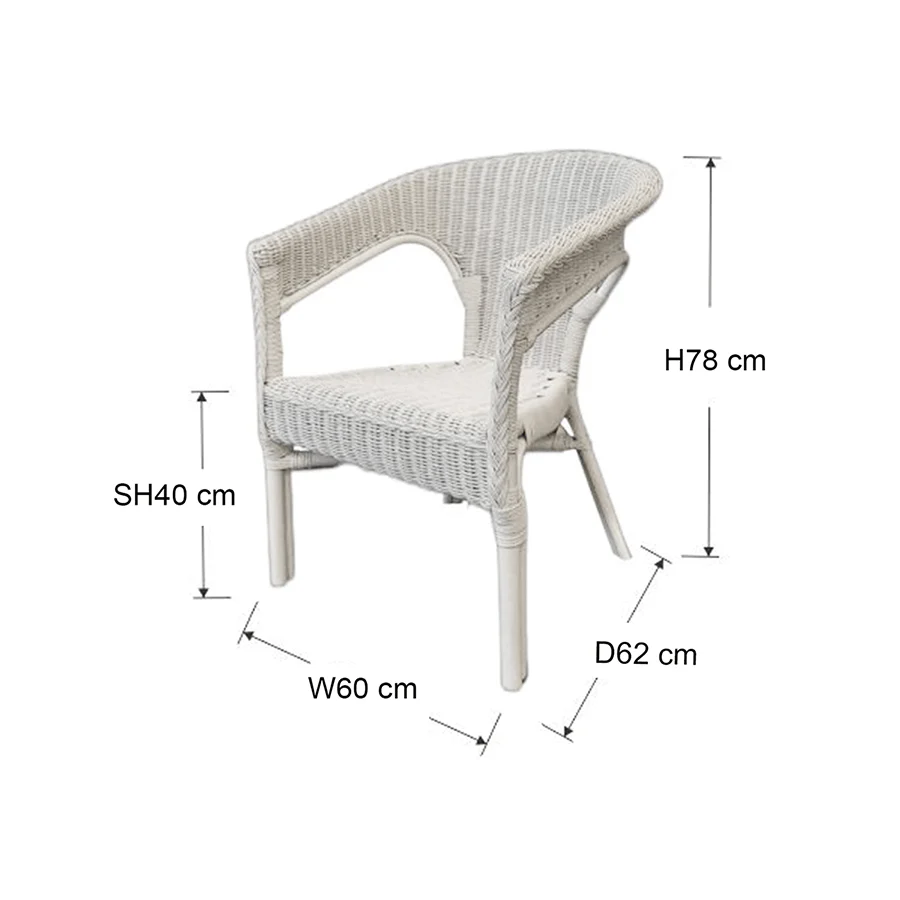 Gorda Wicker Armchair - Image 9