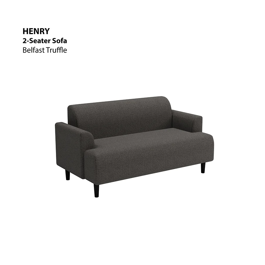 Henry 2 Seater Sofa - Image 11