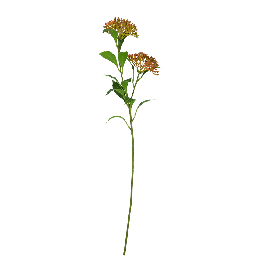 Lindera Flower - Image 4