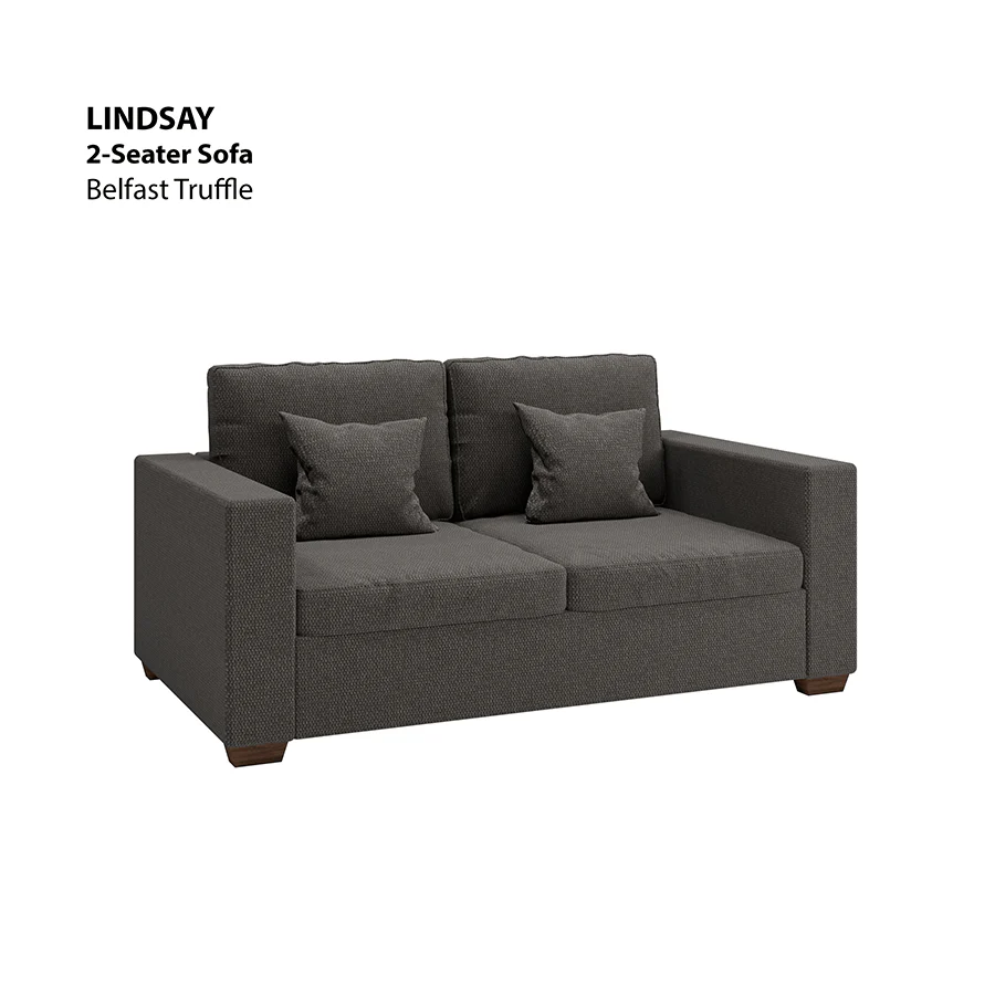 Lindsay 2 Seater Sofa - Image 11