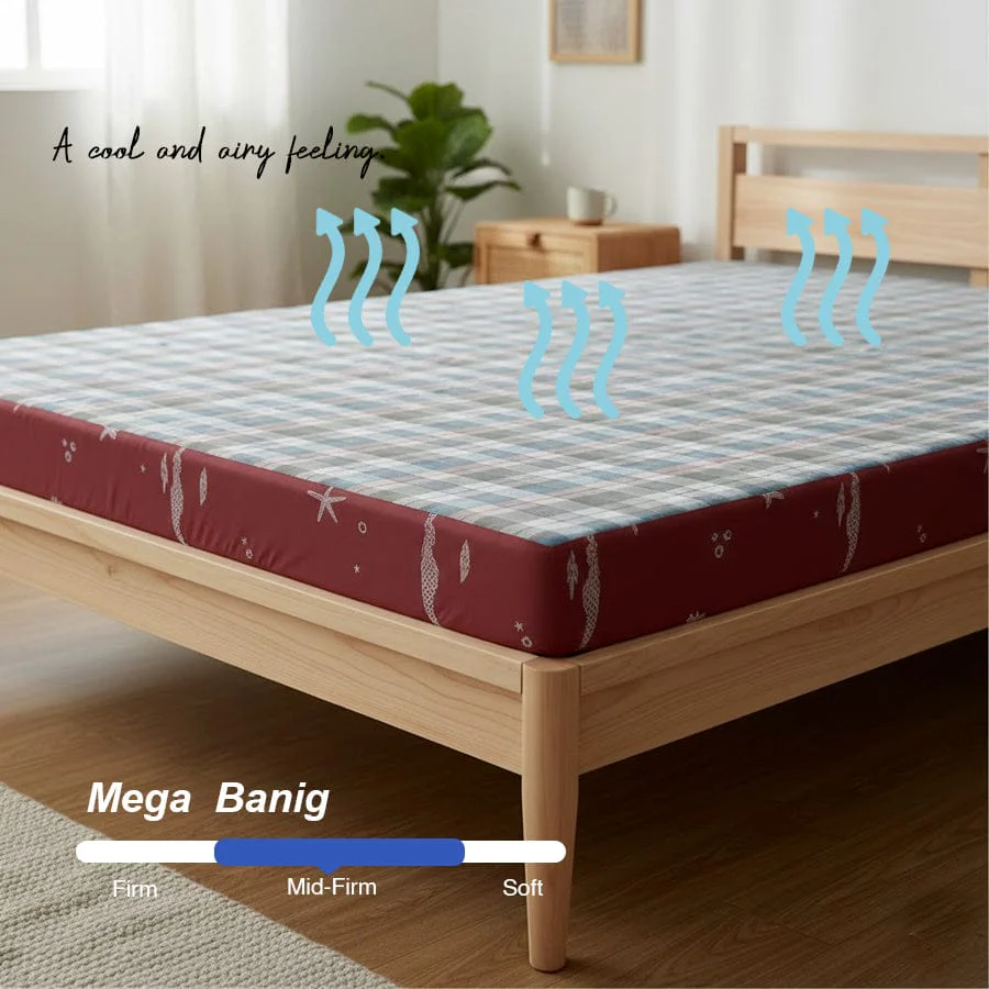 Mega Banig Mattress - Image 17