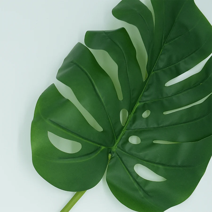Monstera Single Leaf - Image 3