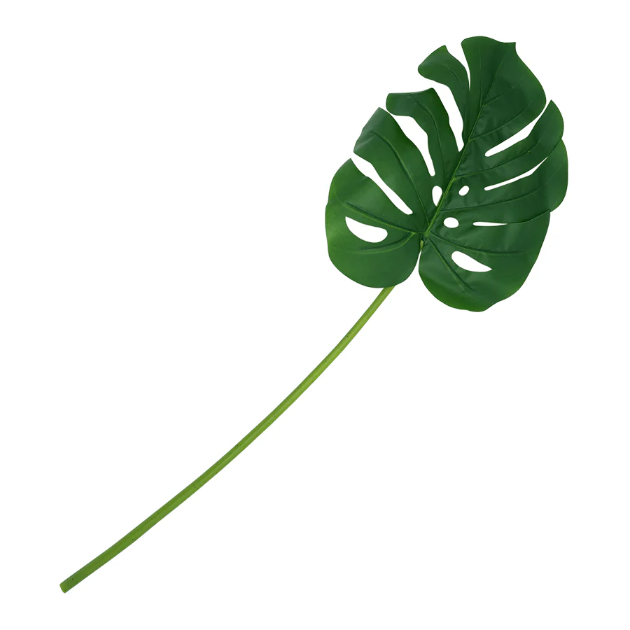 Monstera Single Leaf - Image 4