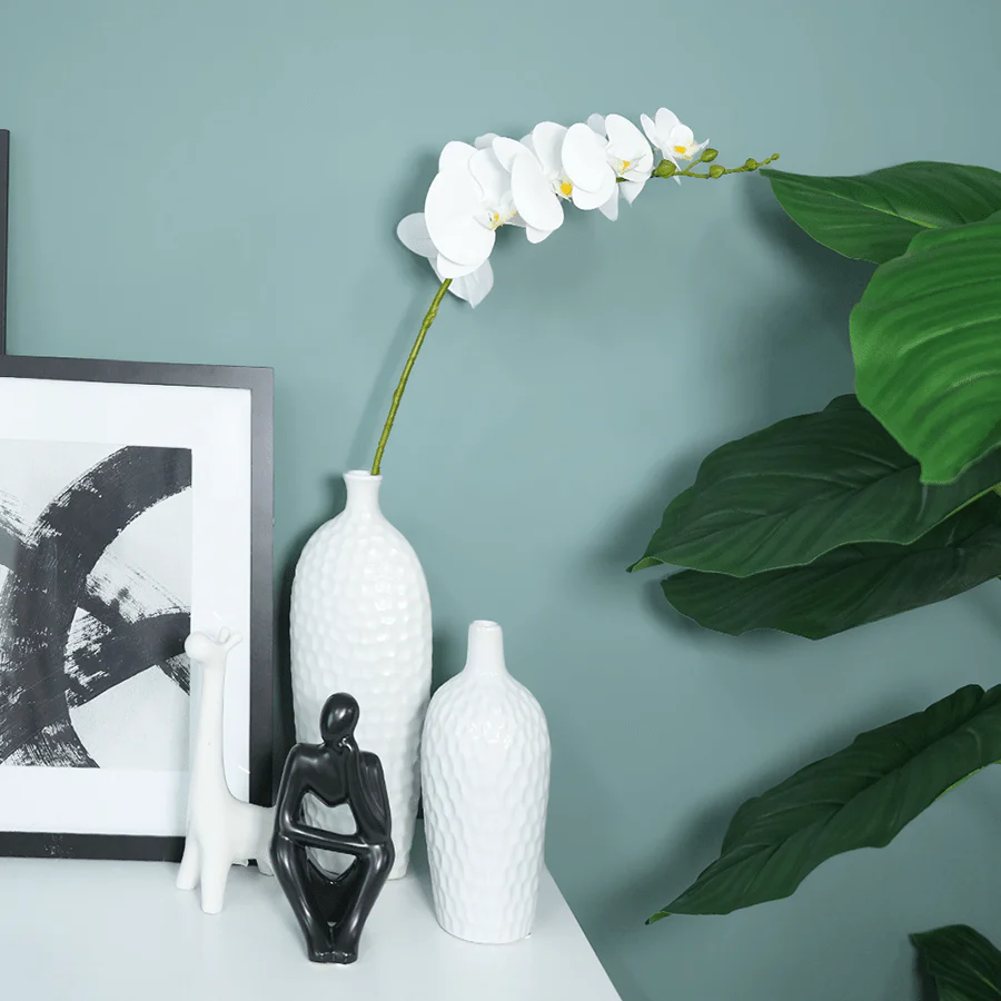 Phalaenopsis Single Flower - Image 2