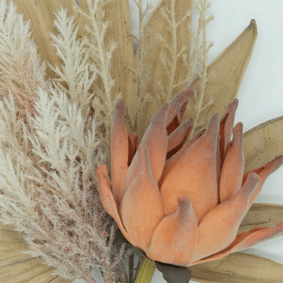 Protea Bunch Dried Flower - Image 3
