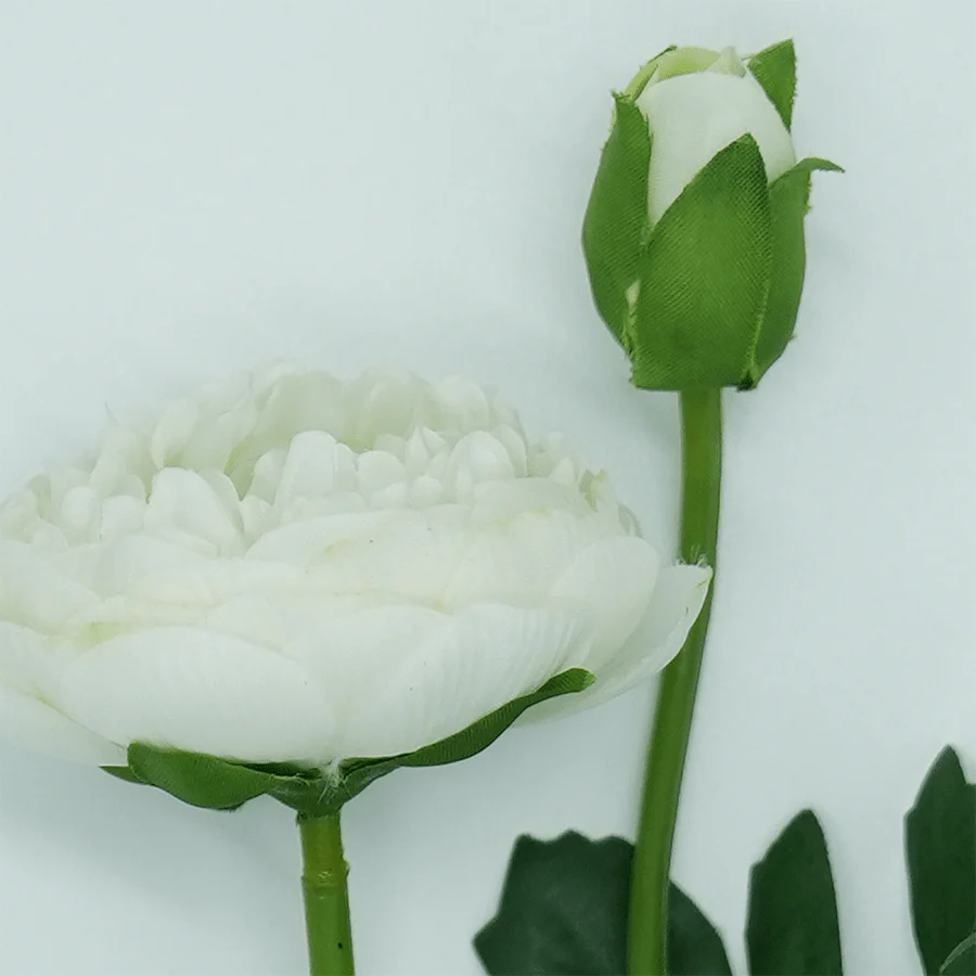 Ranunculous White - Image 3