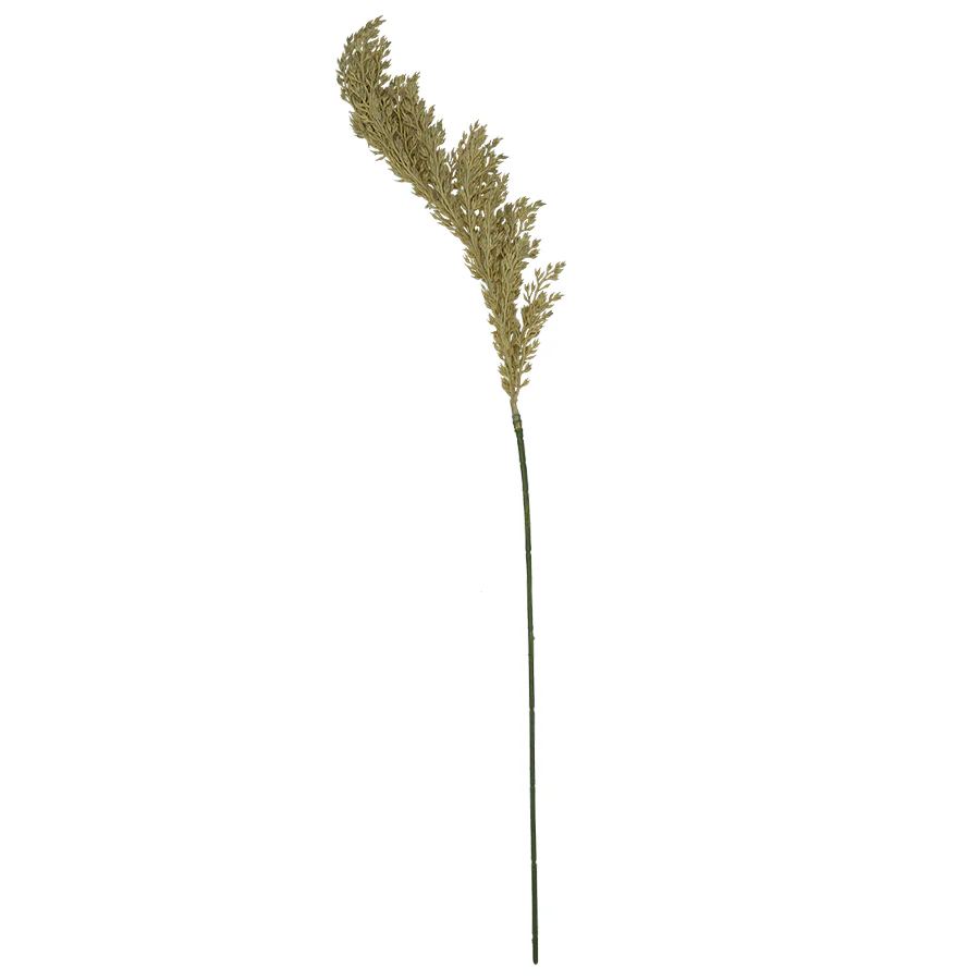 Reed Grass - Image 4