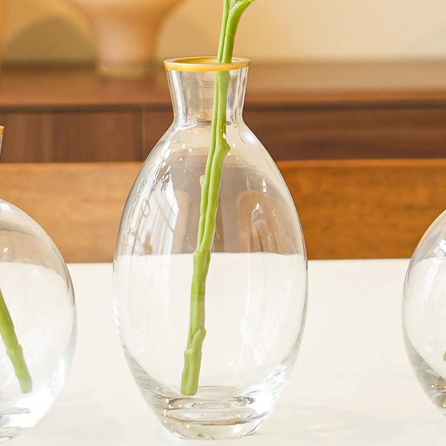 Marzia Glass Vase W/ Gold Rim - Image 8