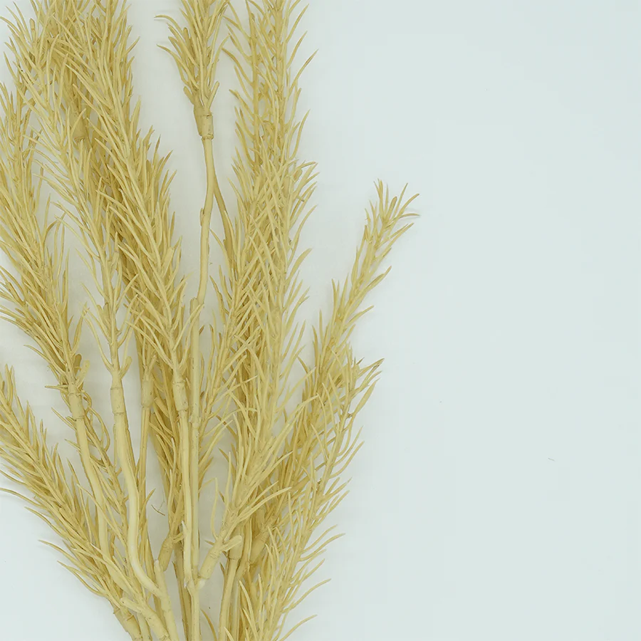 Rosemary Bunch Dried - Image 4