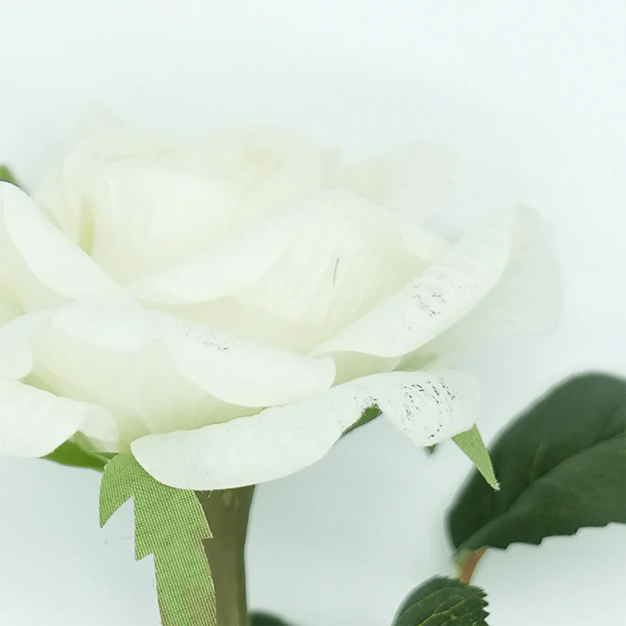 Rosette White - Image 3