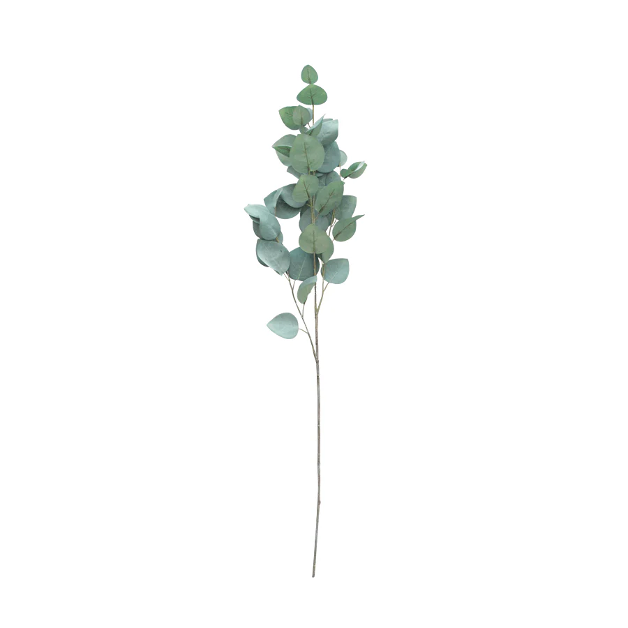Silver Dollar Eucalyptus Single Leaf - Image 3