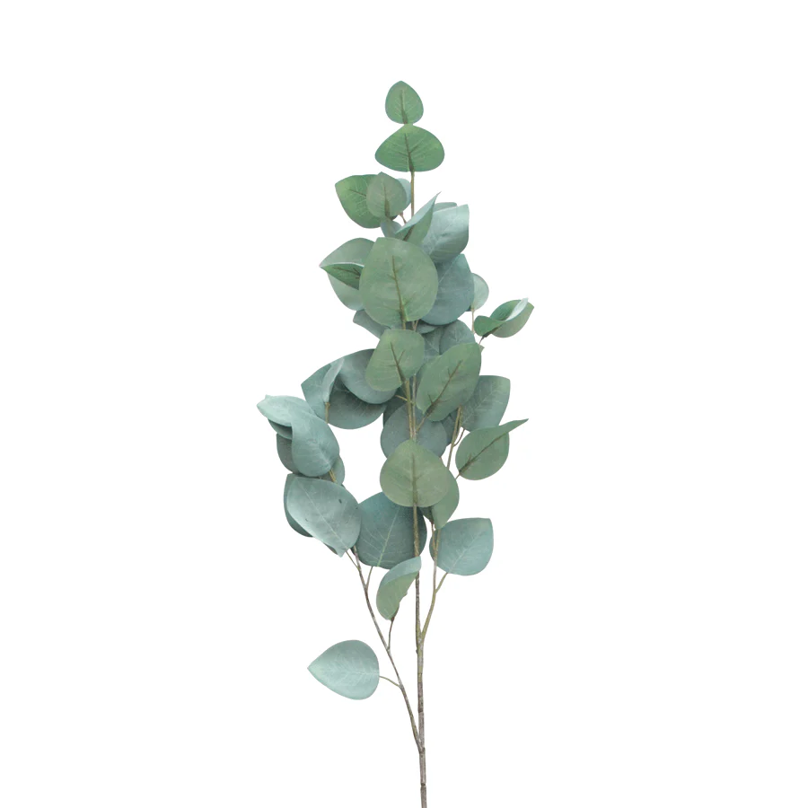 Silver Dollar Eucalyptus Single Leaf - Image 4