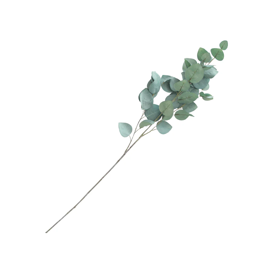 Silver Dollar Eucalyptus Single Leaf - Image 5
