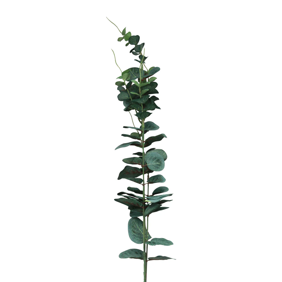 Spiral Eucalyptus Single Leaf - Image 5