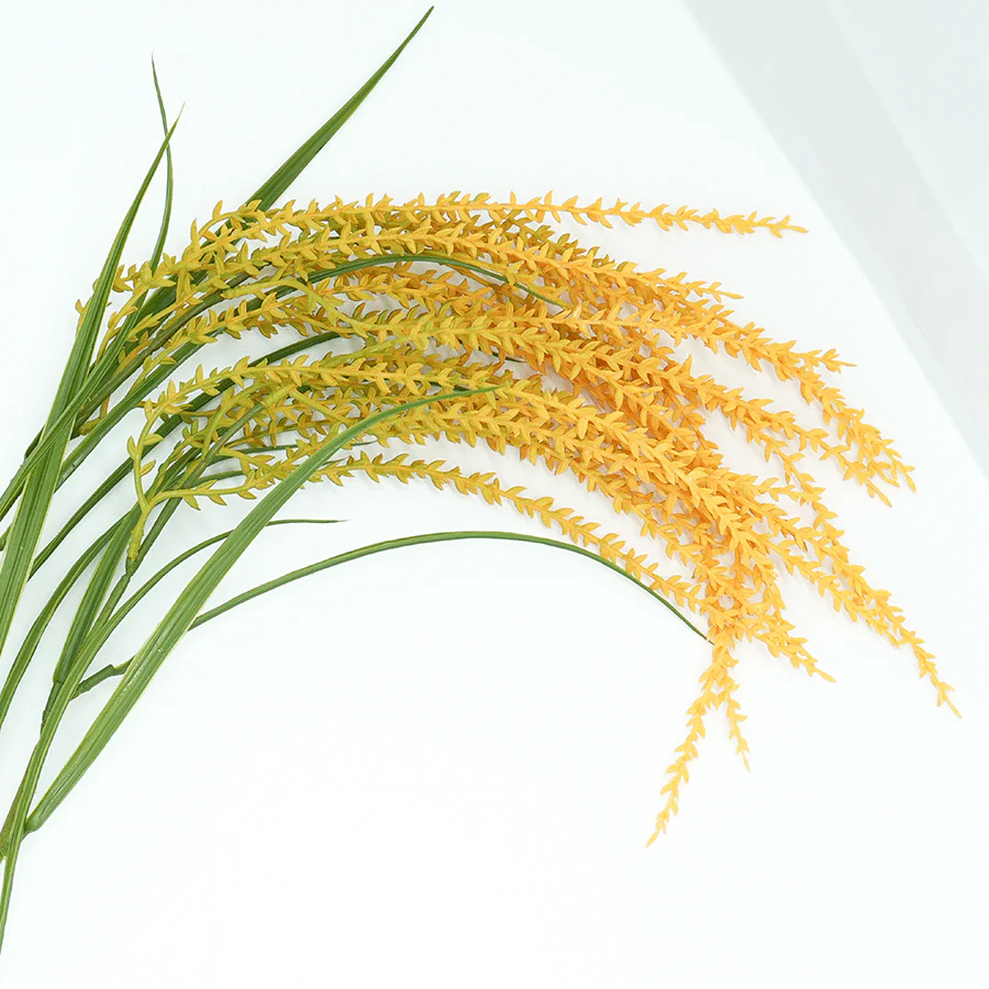 Wheatgrass - Image 3